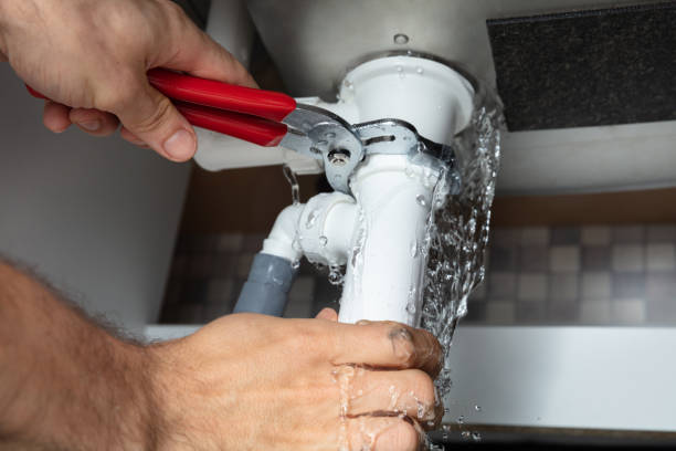 Best Flooded house restoration  in Frankfort, IL