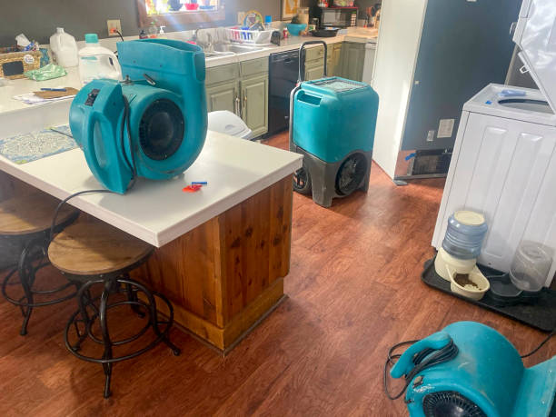 Best Water damage restoration insurance claims  in Frankfort, IL