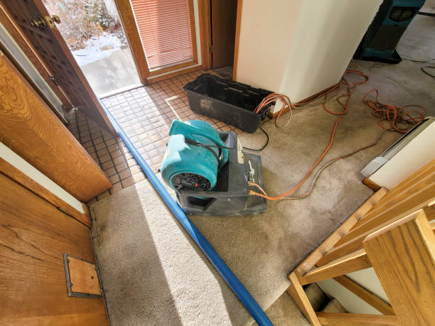  Frankfort, IL Water damage restoration Pros