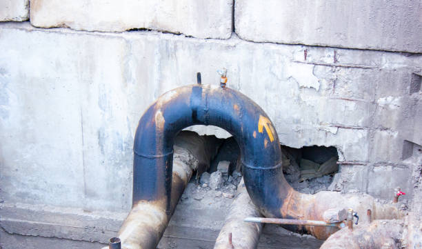 Best Mold removal after water damage  in Frankfort, IL