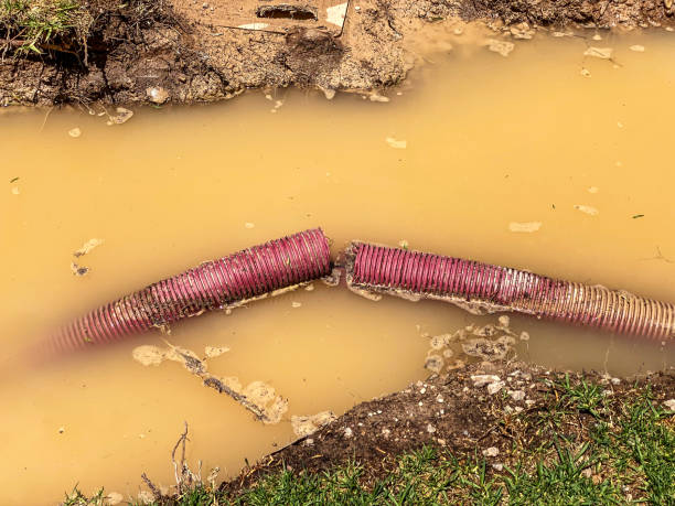 Best 24/7 water damage repair  in Frankfort, IL