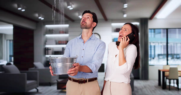 Best Local water damage restoration  in Frankfort, IL